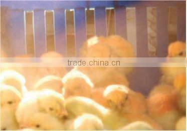 agriculture product
