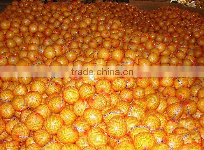 Chinese Fresh Pomelo Fujian Pomelo Sweet Pomelo
