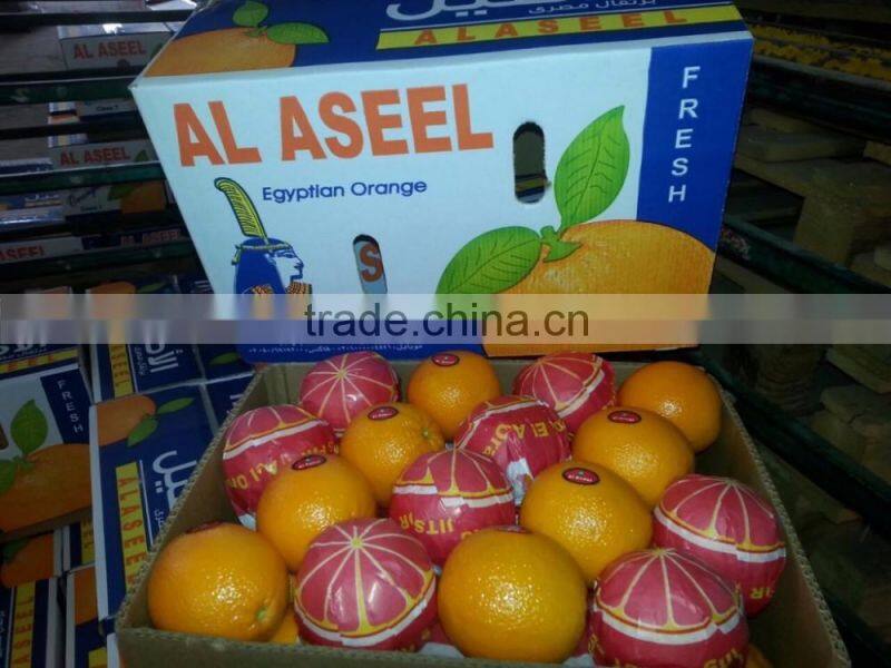 Orange/ Lemon form Egypt