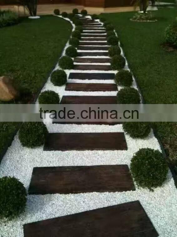 Palace Garden Yard Green Landscape