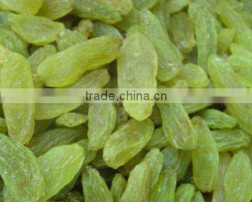 green raisin/yellow raisin /brown raisin /dried fruit /raisin with low price