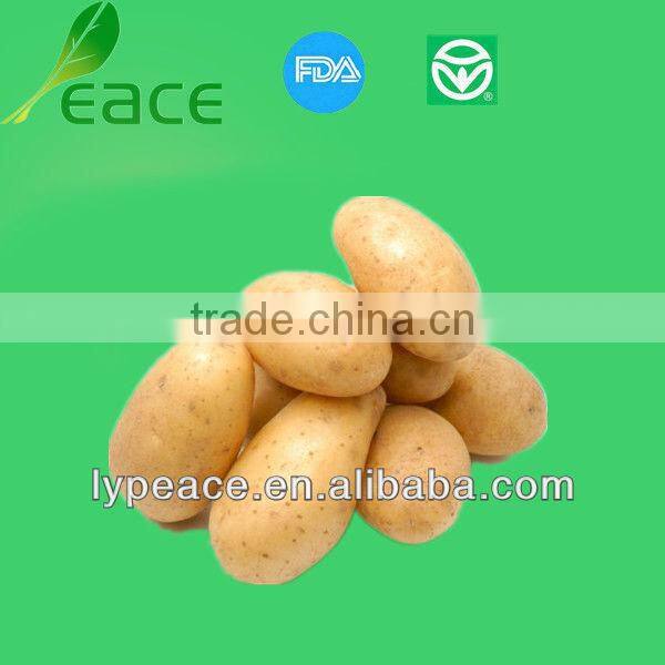 best raw material for dehydrated potato flakes