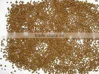 newly Floating Frog/ salmon/fish /pet/fish / animal pellet /food machine//floating pellet making machine//0086-15838059105