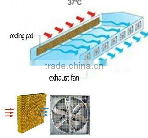 Asia Biggest Manufacturer in Greenhouse/Poulty house Evaporative cooling pad