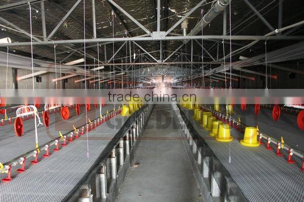 easy cleaning poultry farm equipment automatic feeding system/automatic feeder for shed