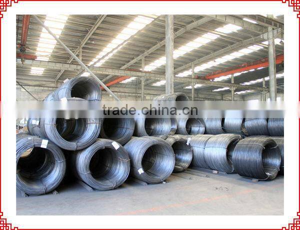 automatic nail making machine factory of Dongxing brand