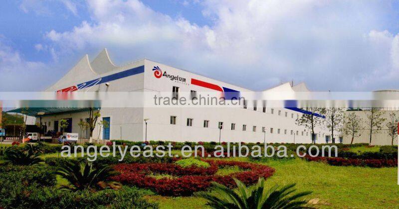 4g,10g halal chicken bouillon cube soup stock bouillon stock, soup stock