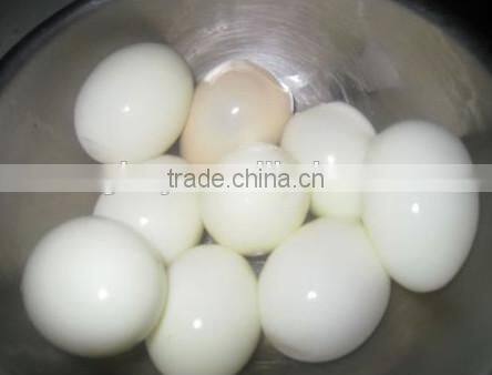 5000 eggs/h and 8000 eggs/h hard boiled egg peeling machine automatic egg peeling machine