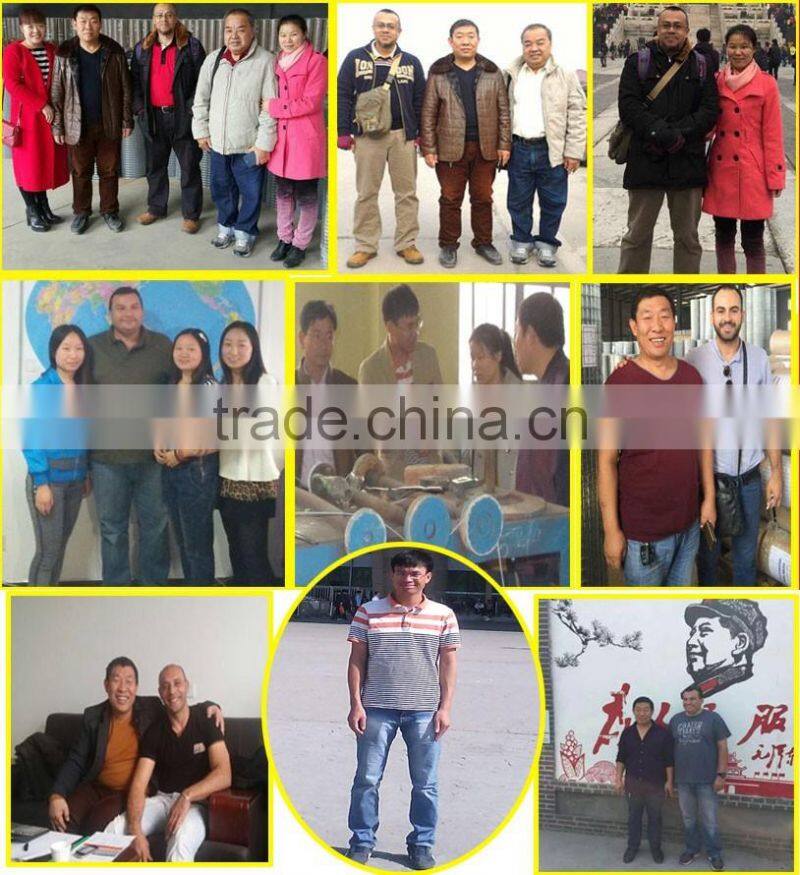 PVC coated Chicken Wire Mesh (Hexagonal Wire Netting)