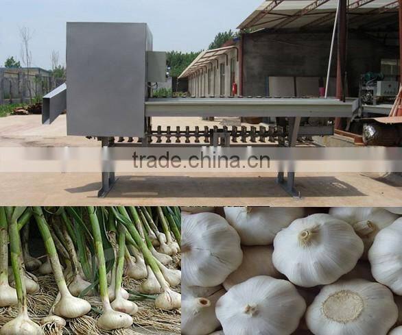 Dry garlic root cutting machine
