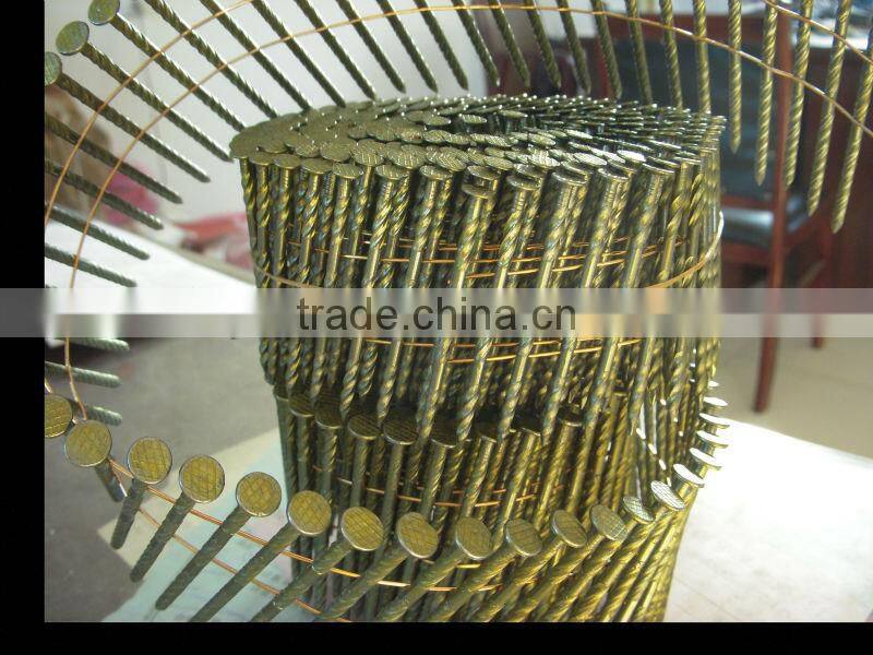 Low Price Coil Roofing Nails/Coil Nails From Guangzhou Supplier