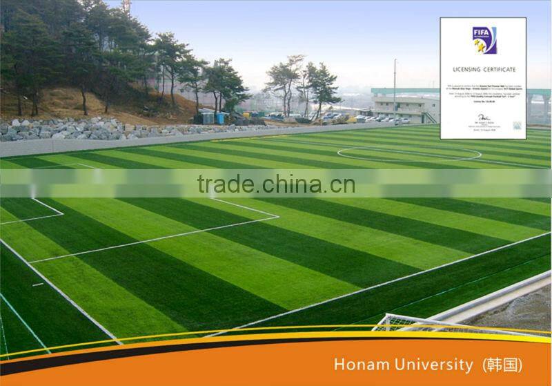 Artificial Grass Project in Asia