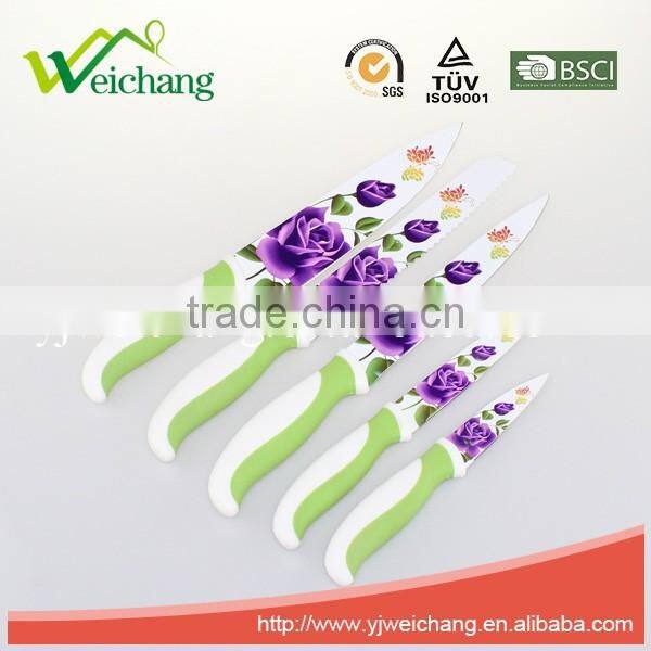WCE567 5 pcs set Kitchen Knives artwork painting blade PP with TPR handle , hot sale, Wholesale
