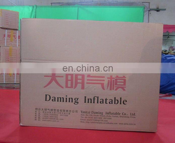 2013 New advertising inflatable costumes for sale