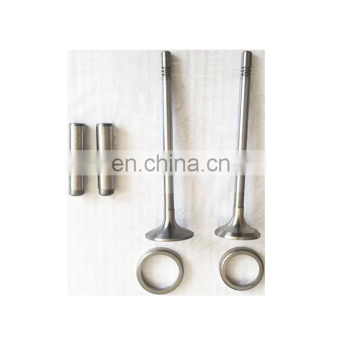 Dachai TCD2013 Intake Valve 04900685 Exhaust Valve 04900686 for Bus Engine