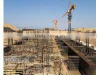 Singfo High Performance Professional Dynamo Diesel Engine