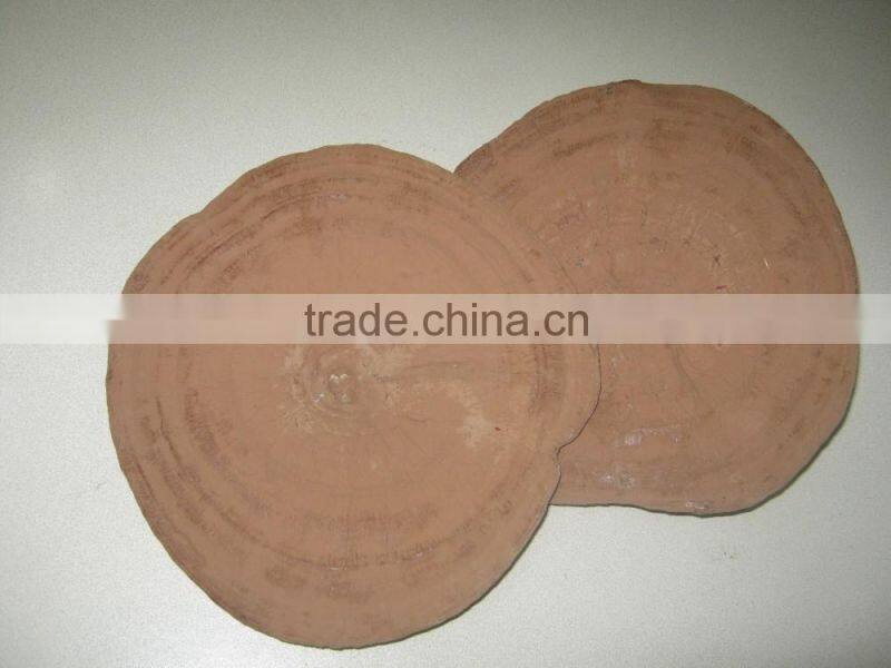 2016 hot sales best Dried Ganoderma Lucidum Mushroom