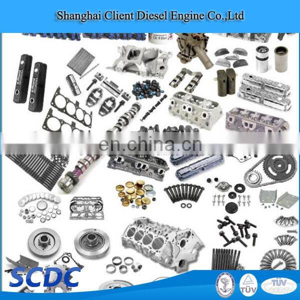 SCDC belt V ribbed 3911571