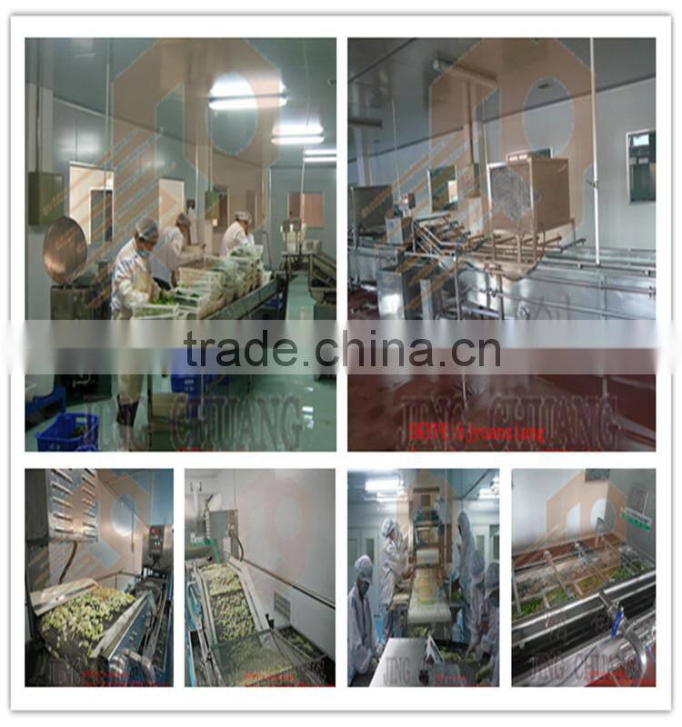 Meat Slicing Machine/Meat Slicer