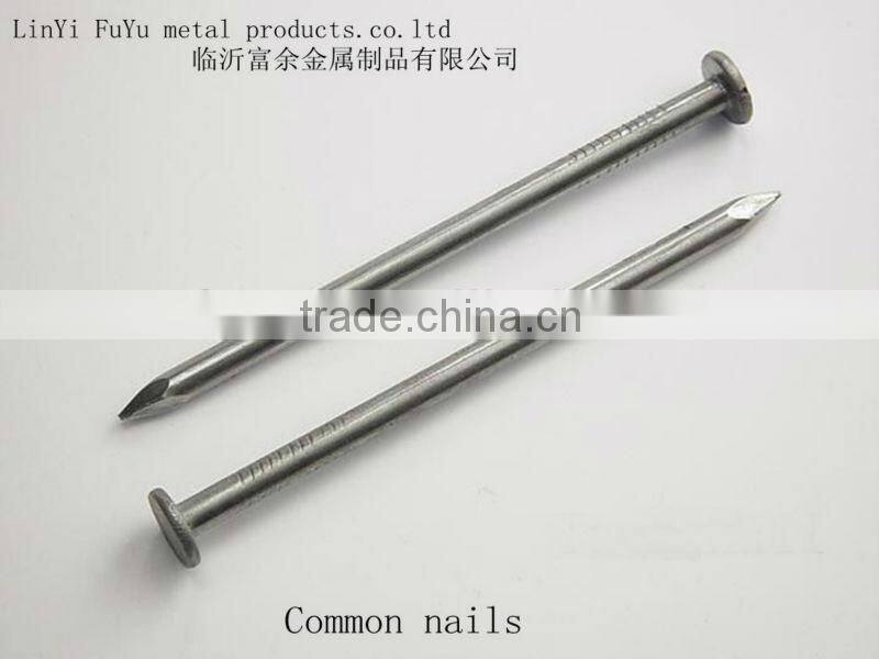 flat head iron nail
