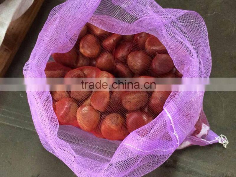 2015 crop fresh Chestnut from China for export