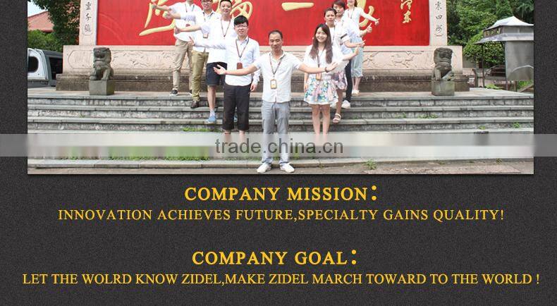 Double electric hot plate with solid cast iron heating element 2500W CNZIDEL