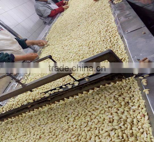 new products peanut kernels in china raw peanuts prices