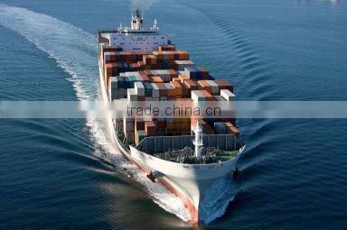 Nylon/Spandex Seamless Lady Bra