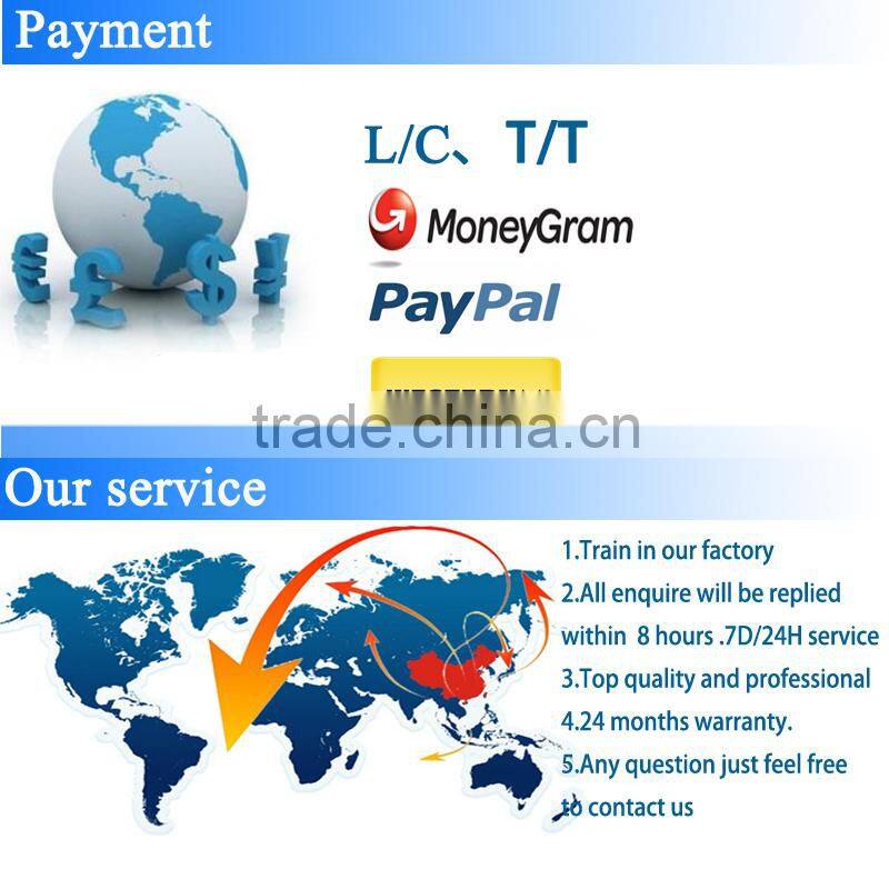 plastic security seal Fiber Laser Marking Machine