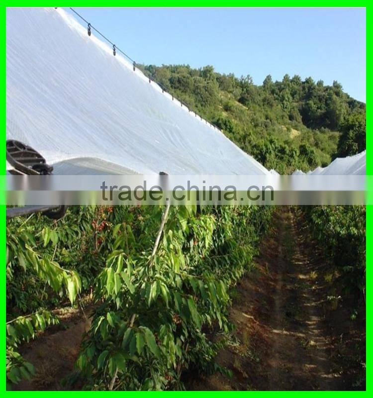 100% virgin with UV treated woven transparent pe cover,cherry anti acid protection cover