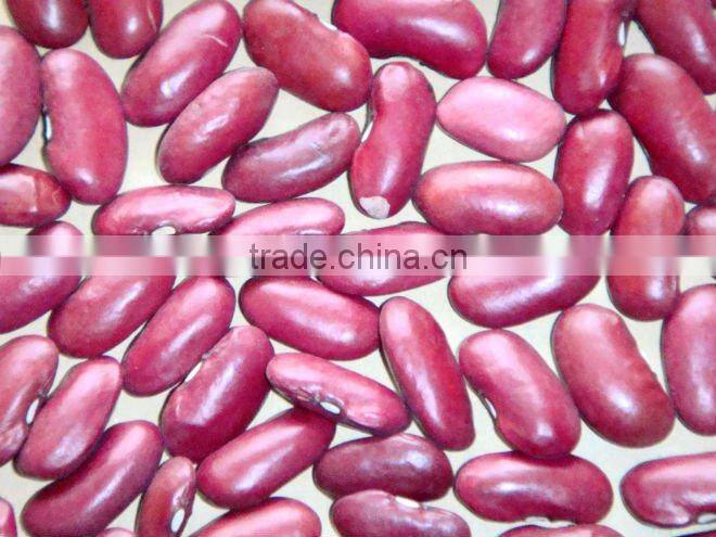 NEW CROP LIGHT SPECKLED KIDNEY BEANS