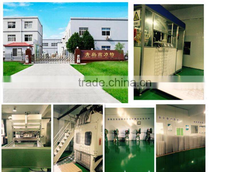 Transparent Pet Plastic Egg tray 6-30 Eggs tray