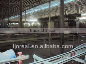 Digital Wall Tile 300x600mm for Exterior