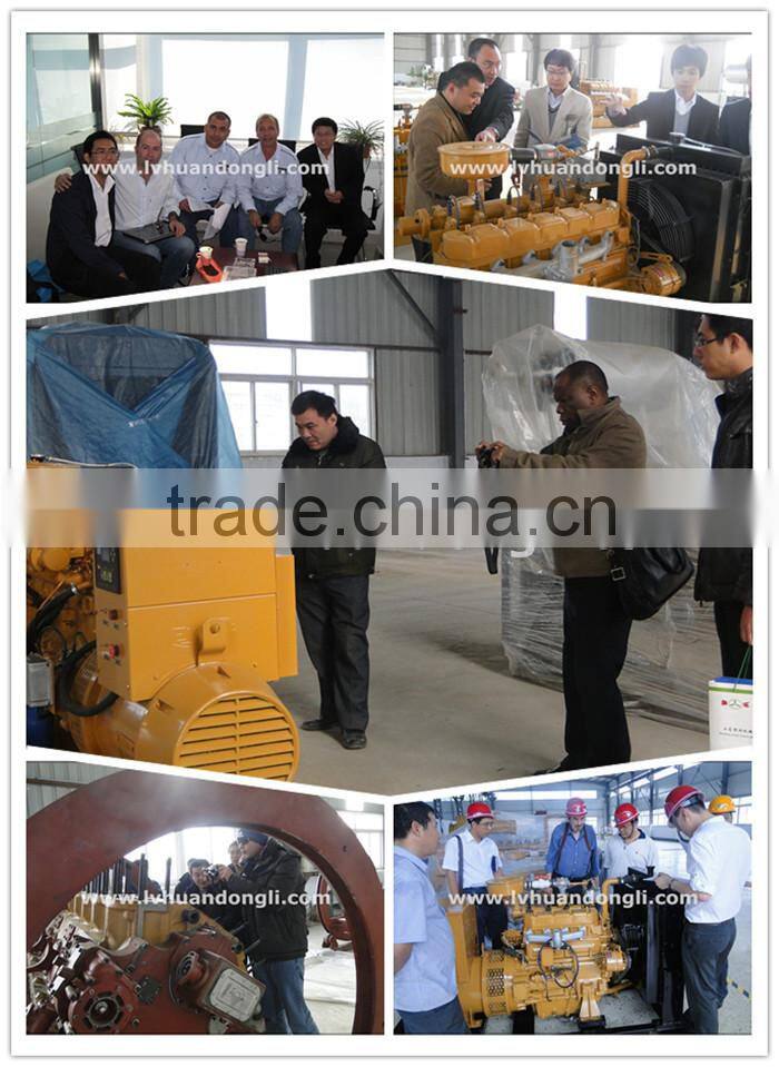 Combined cycle power plant High performance natural gas engine 1000kva generator
