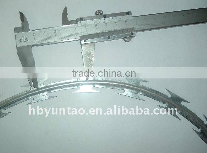 1 CBT BTO Galvanized Concertina Barbed Wire Factory