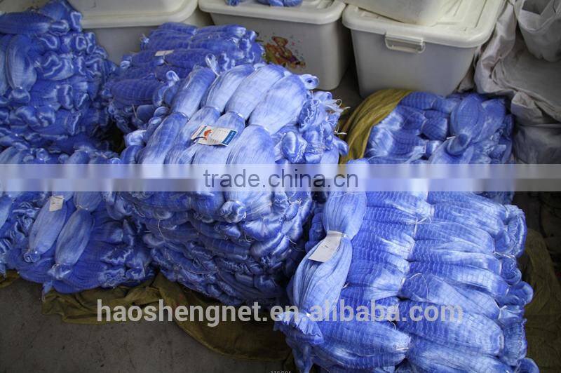 Plastic blue monofilament fishing net