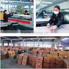 Cheap fire-proof flush door with different fire resistance