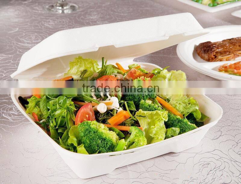 food packaging disposable plastic food container