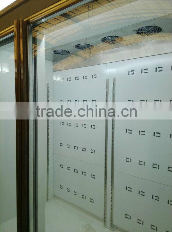 Customized Commercial Display Refrigerator