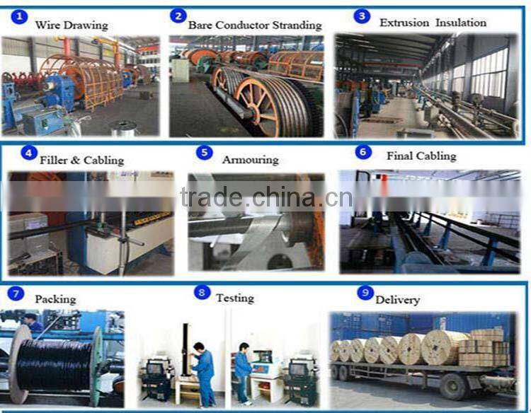 China manufacturer High quality Yellow House wiring aluminum core PVC Insulated electric cable and wire -BLV(10mm2)