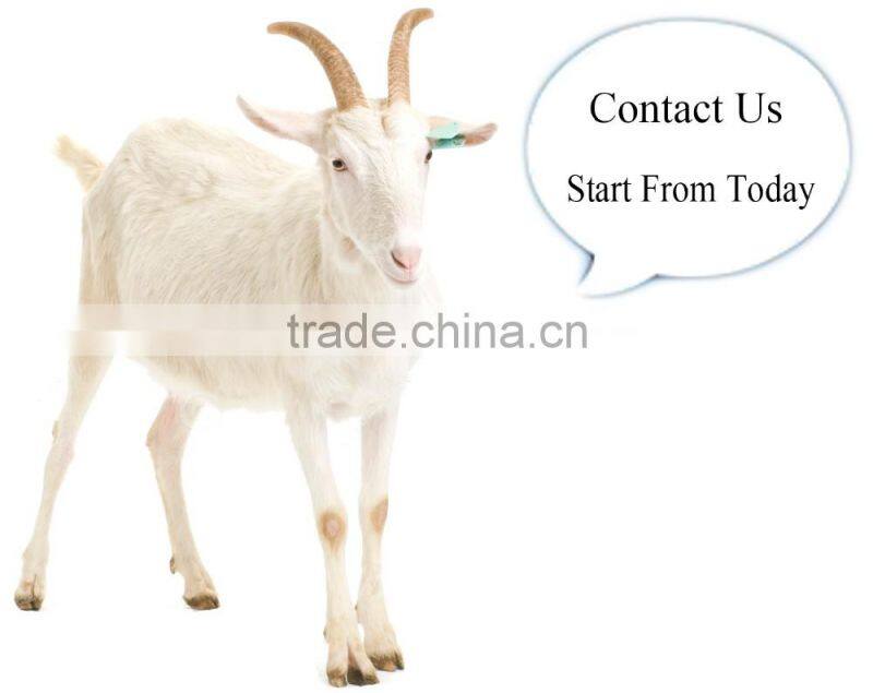 16FZBE07 rib knit cashmere beanie hat unisex bluetooth beanie