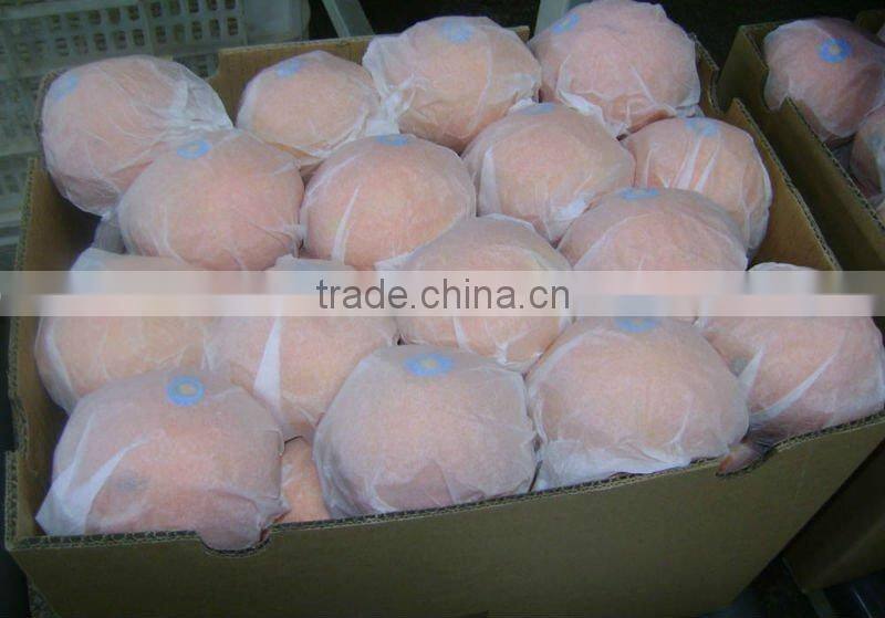 Chinese Neval Orange
