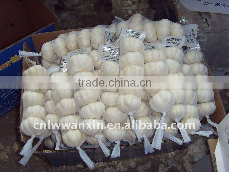 900g*10mesh bag garlic