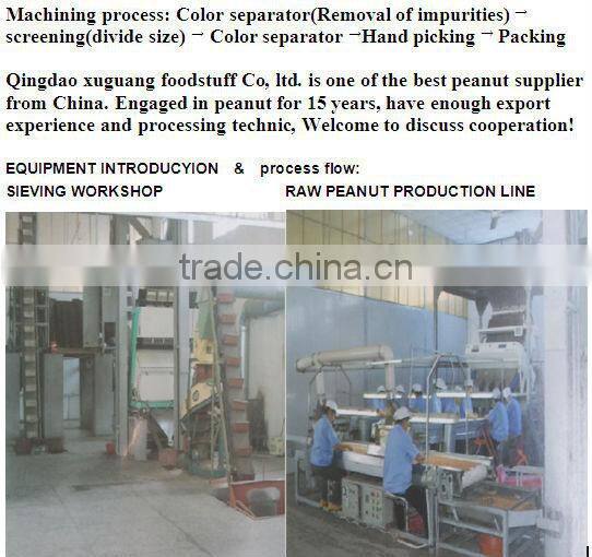 shandong blanched peanut kernel 35/39