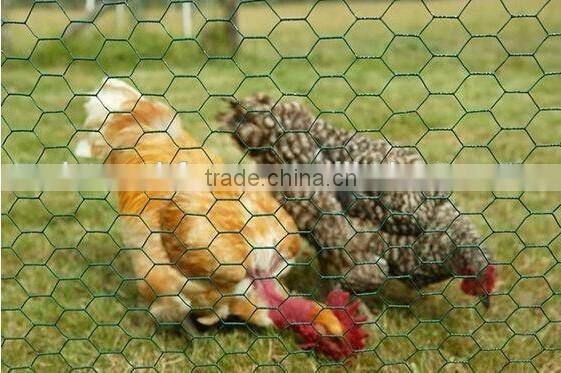 Galvanised Hexagonal wire mesh, chicken wire mesh, poultry wire 1/2 hex mesh chicken wire