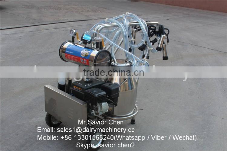 Two Cows Mobile Milking Machine With 4000W Gasoline Engine