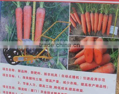 Hot sale Manual one row potato planter