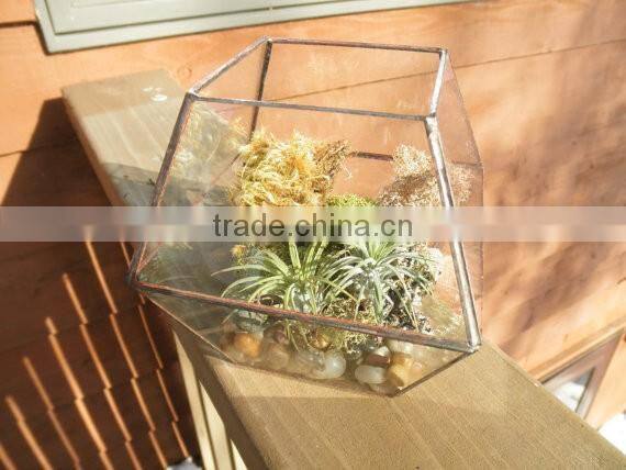 Simple clear Glass Planter Terrarium
