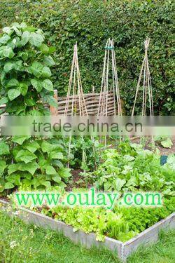 bamboo sticks for plant and flower