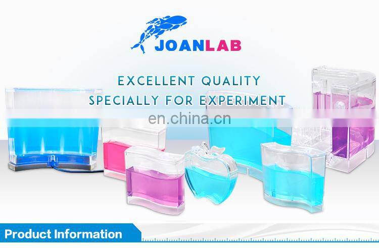 Joan Lab Wholesale Toys New Item Kids Toys Ant Farm